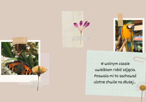 Neutralne Beżowa Para Rocznica Album z Wycinkami Wydarzenia i Szczególne Zainteresowania Prezentacja - 11