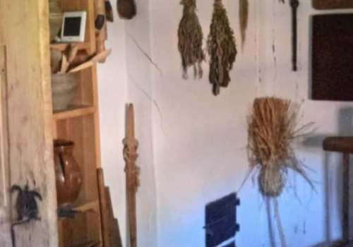 537311260_3654570281345663_8898142378649011958_n