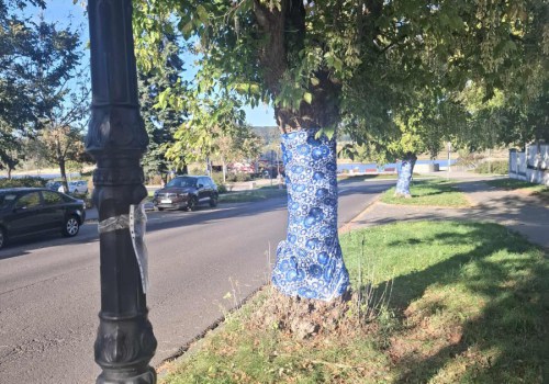 552581753_1361464368858550_5443717825665063361_n