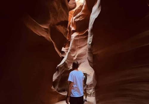 464546175_8682073018518051_7890722783505574956_n