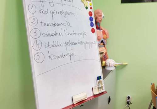 III-LO-im.-M.Konopnickiej-we-Wloclawku-1