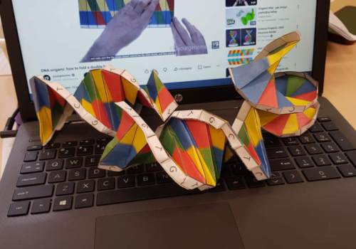 III-LO-im.-M.Konopnickiej-we-Wloclawku-4