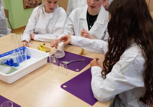 III-LO-im.-M.Konopnickiej-we-Wloclawku-5