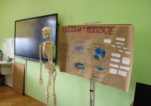 III-LO-im.-M.Konopnickiej-we-Wloclawku-6.jpeg