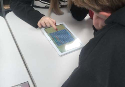 20