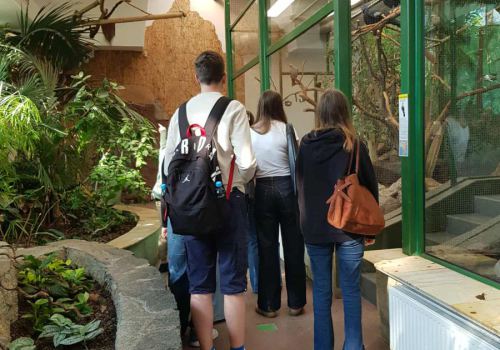 550855130_2001322897284577_2374432544161758554_n