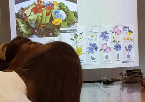 551223144_1858423505557140_3272233052940777301_n