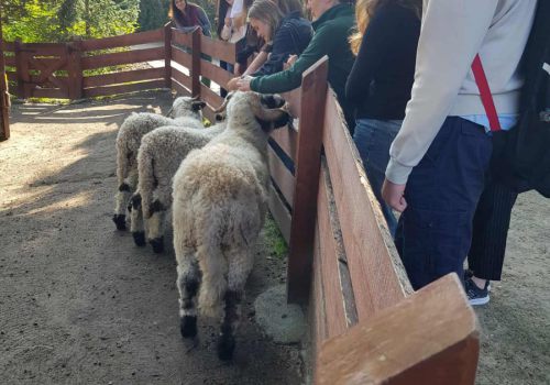 551276870_1129991198465483_6822649771395246748_n