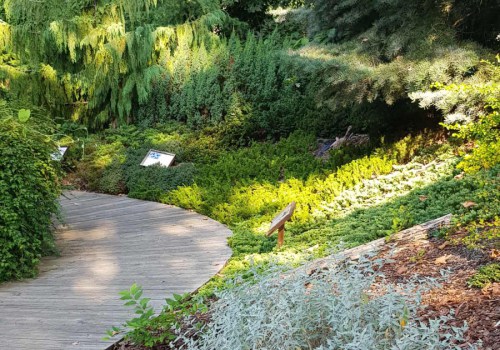 551470452_1155885846464970_9068209902395464193_n