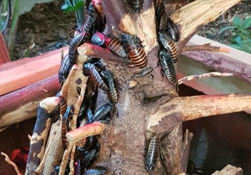 551574305_1701906047188301_6155012299305171205_n