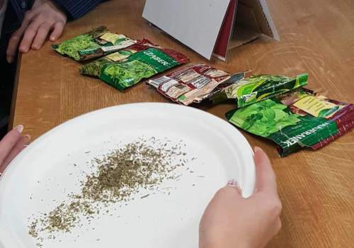 551977410_1853774322212908_6973101617380504497_n