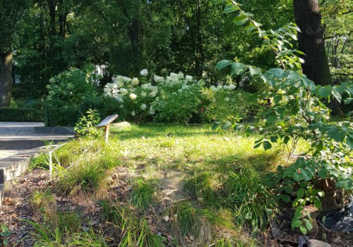 552188564_2014387662433692_628619193472226528_n