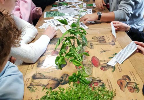 552617715_25550476297875691_2123336899714596354_n