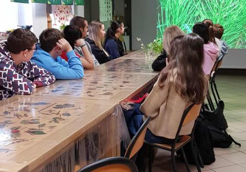 552981771_3215586845271135_6702006099571764330_n