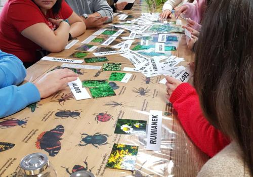 553377559_2168688800306314_1007669551261131690_n