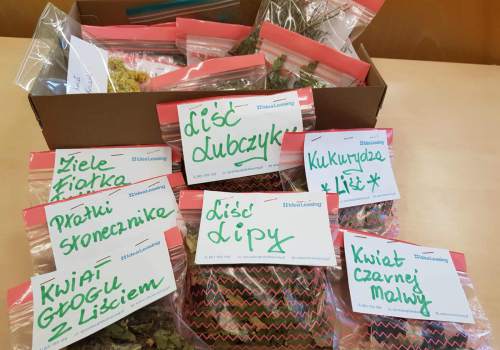 553387926_1427886721639829_4320458761231064209_n