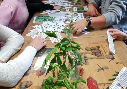 553396778_1325494179267339_2484802388781254590_n