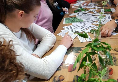 554194520_1185719713387623_1331437681882811067_n