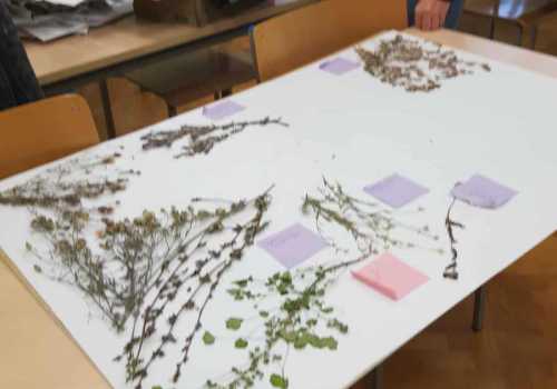 564710292_1275690294332966_1208471113177835548_n