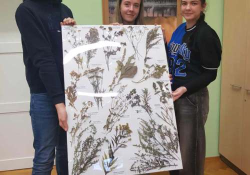 564719471_782356494617665_5489631535623658414_n