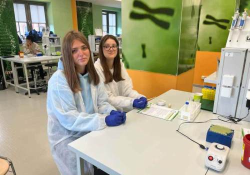 565462256_4237478713235854_5062323640607702731_n