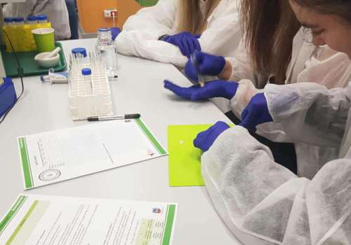 565818998_1337439057884627_8580507818878650906_n