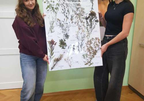 565857274_3666443260155785_4907012532604514748_n