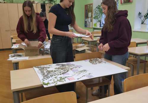 565893189_834701842258707_722876672162492203_n