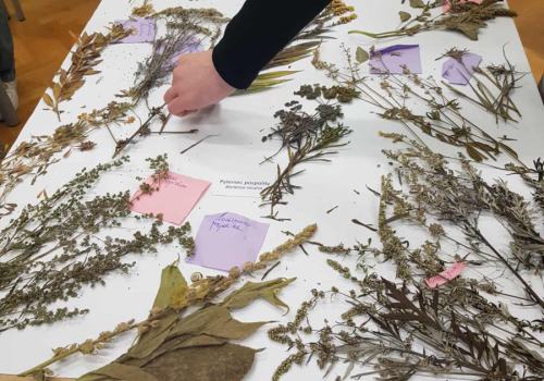 566533840_1446009223873842_2351571027186761808_n