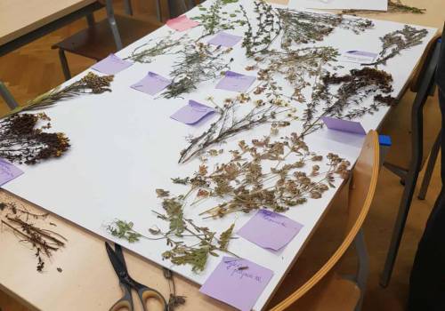 566553548_815024764241635_8833026590780954396_n