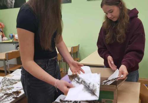 566586797_4098151247074623_3659541041484604679_n